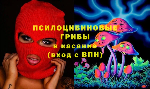 твердый Гусь-Хрустальный